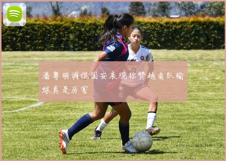 潘粤明调侃国安表现称赞越南队输球真是厉害