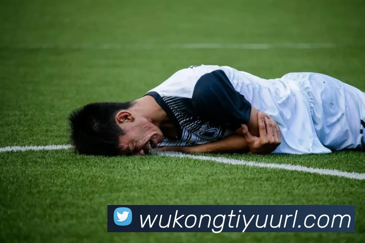 App Interface Preview