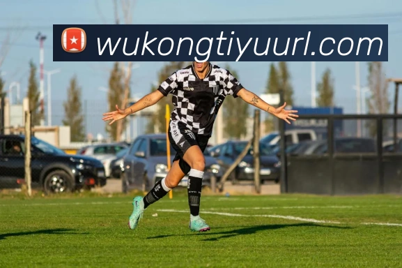 悟空体育APP 封面图